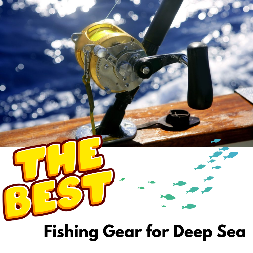 Dive into Success: Fishing Gear for Deep Sea Fishing Adventures